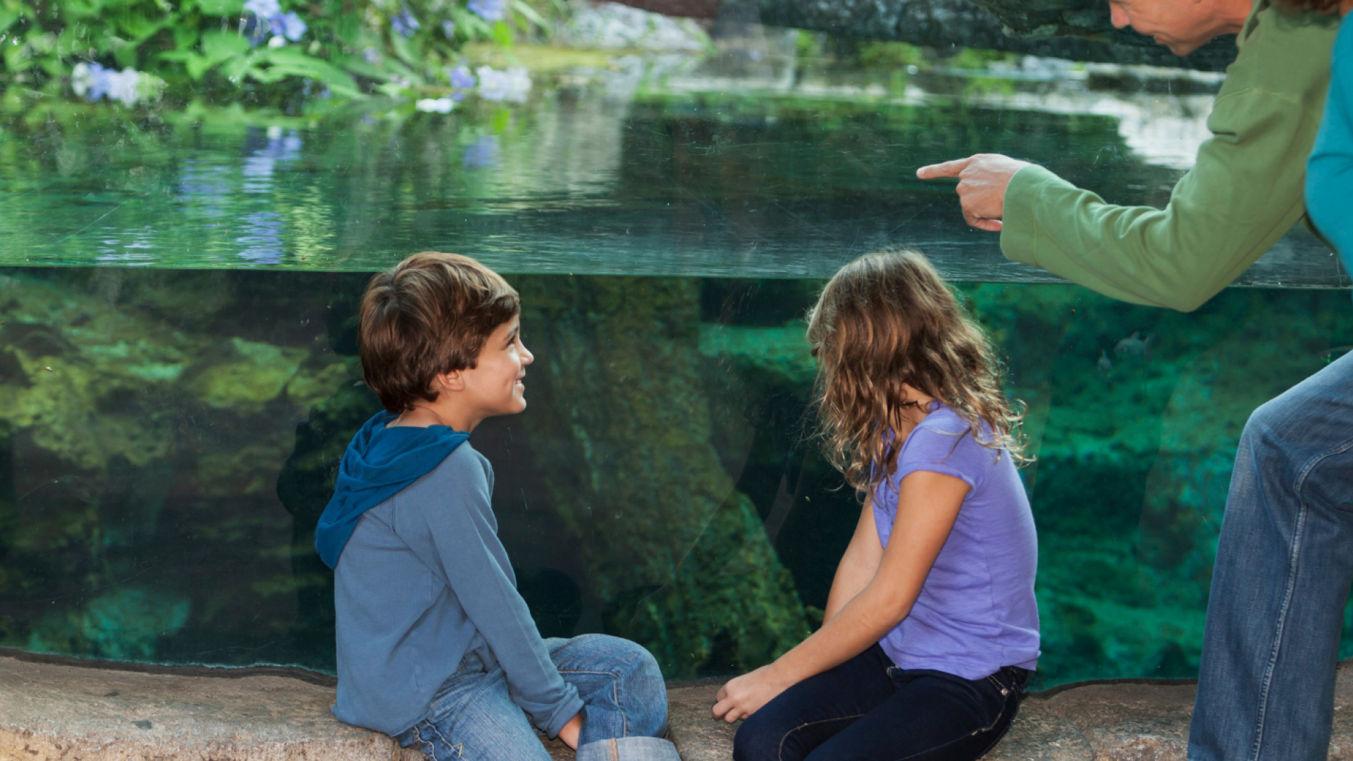 Kids looking at an exhibit at the zoo.